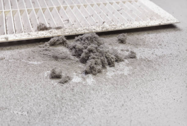 Best Affordable HVAC Duct Cleaning  in Bartlett, TX